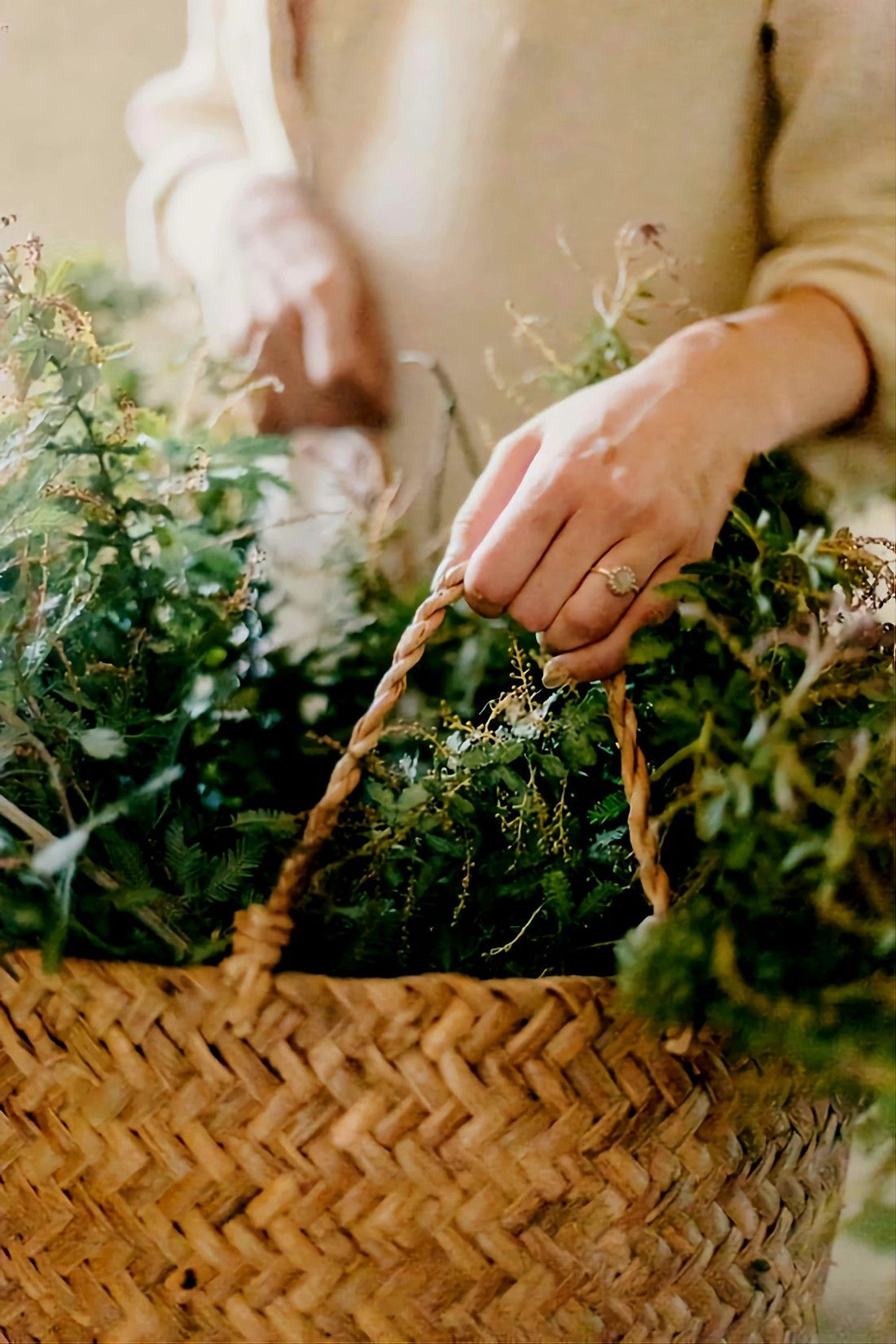 Unlocking the Power of Nature: The Essential Oils Behind Our All-Natural Cleaning and Wellness Products